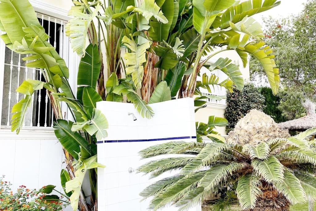 Beach Penthouse Apartment Γιαβέα Εξωτερικό φωτογραφία